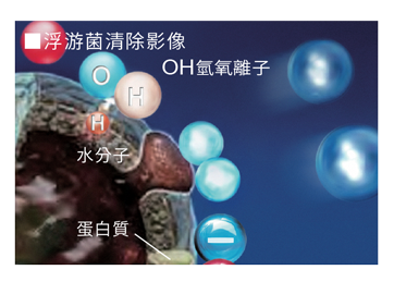 以高濃度分解去除浮游黴菌 抑制附著黴菌的增殖