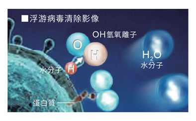 消除浮游病毒表面細胞膜的蛋白質 約10分鐘可抑制其作用
