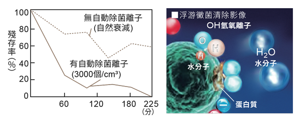 破壞消除浮游黴菌表面 細胞膜的蛋白質進行除菌