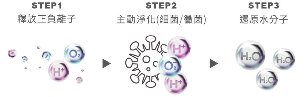 自動除菌離子技術三步驟：釋放正負離子、淨化細菌黴菌、還原水分子