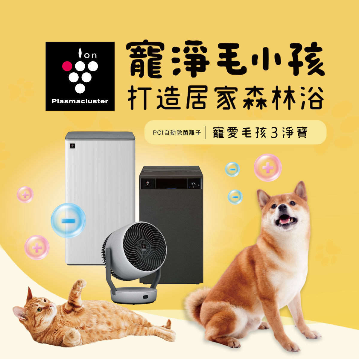 寵淨毛小孩打造居家森林浴