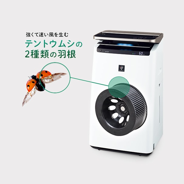 瓢蟲翅膀可產生強勁、快速的風