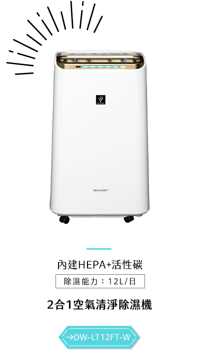 DW-L12FT-W