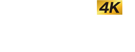 AQUOS 4K 看見真實的美